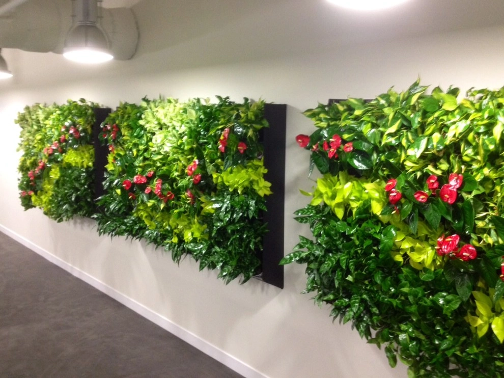 Green and Living Walls by Raimondi Hort Grp | The Little Flower Shoppe - Photo 5