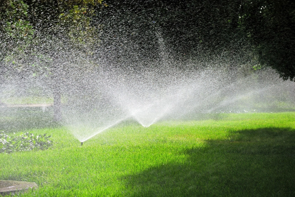Rain Or Shine Landscapes Inc. - Photo 9