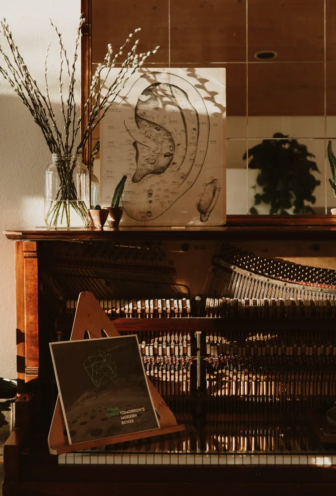 San Rafael Reimagined by The Vibe Design Company - Photo 13