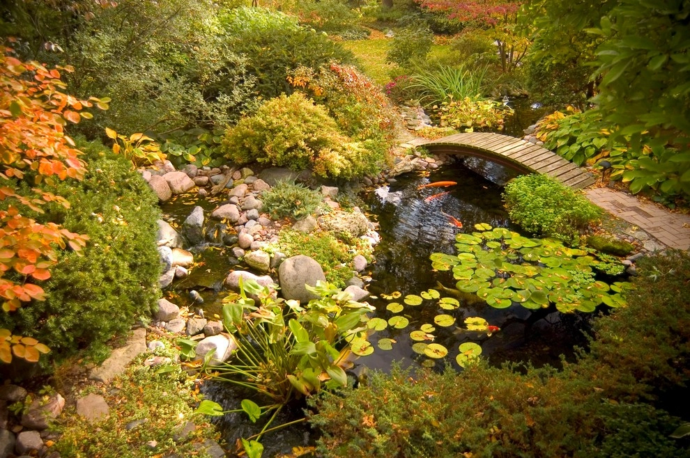 Backyard Ponds & Water Gardens by R&A Landscaping - Photo 48