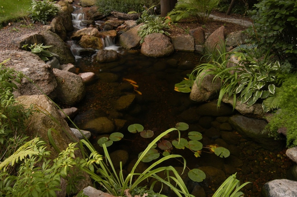 Backyard Ponds & Water Gardens by R&A Landscaping - Photo 6