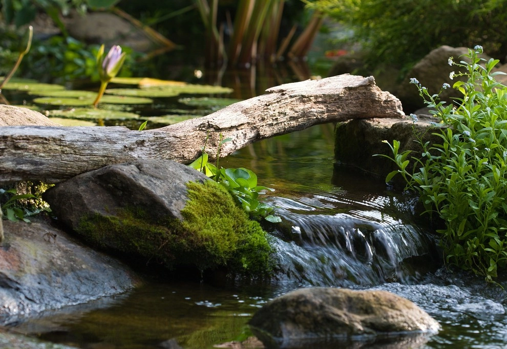 Waterfalls by R&A Landscaping - Photo 42