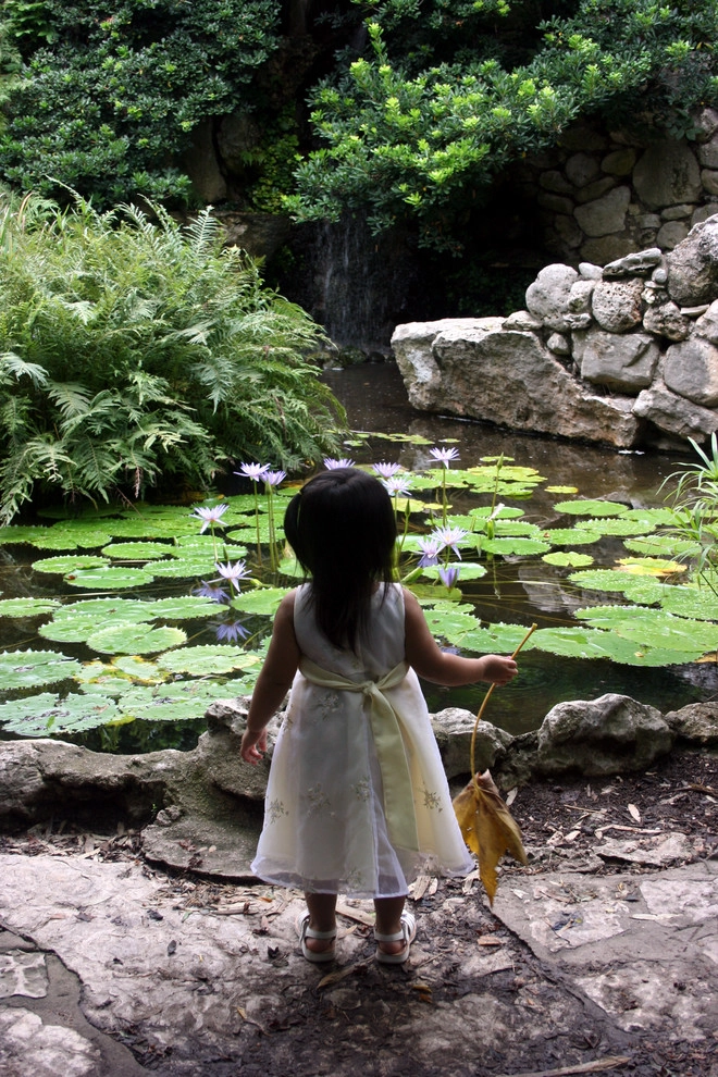 People and Ponds by R&A Landscaping - Photo 8