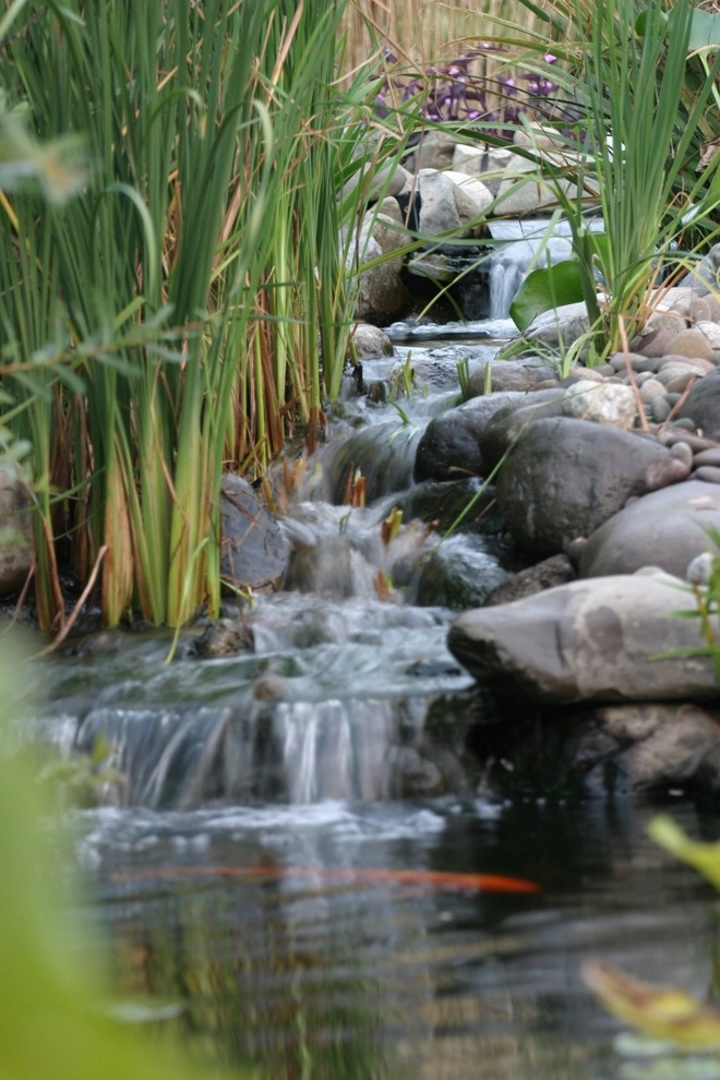 Backyard Ponds & Water Gardens by R&A Landscaping - Photo 19