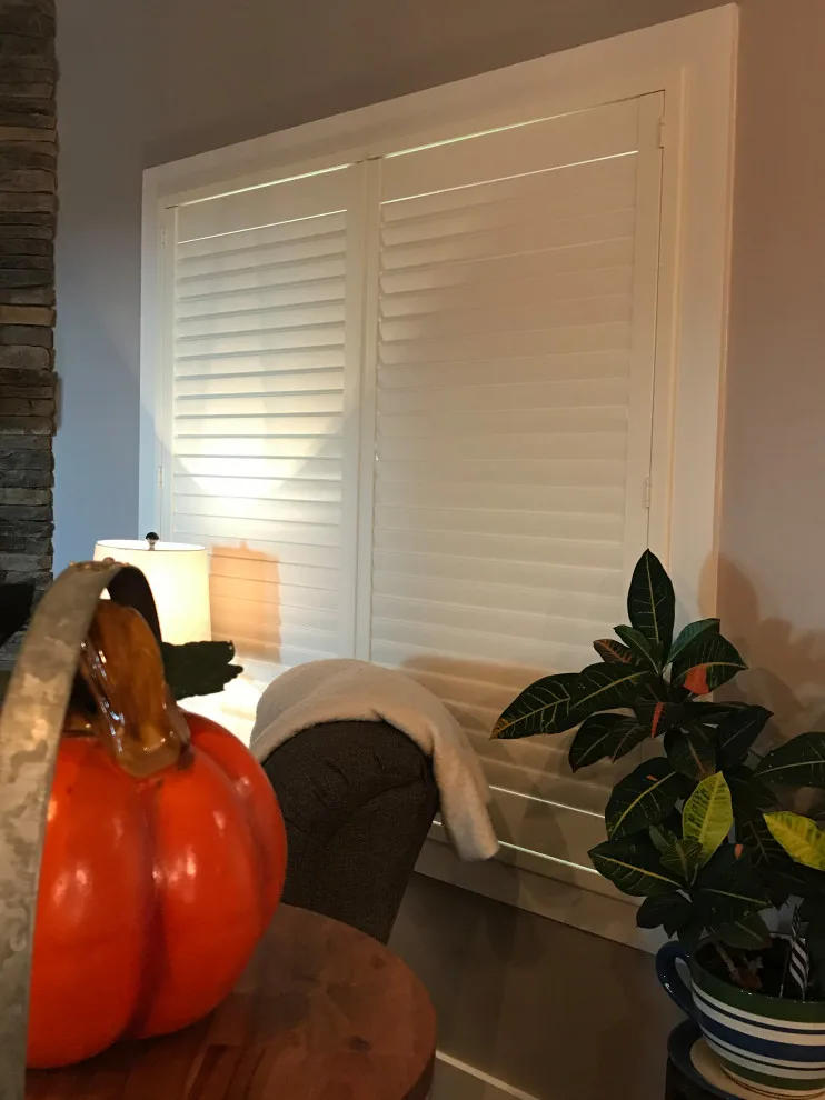 Scott's Window Coverings by Hamilton Rae - Photo 6