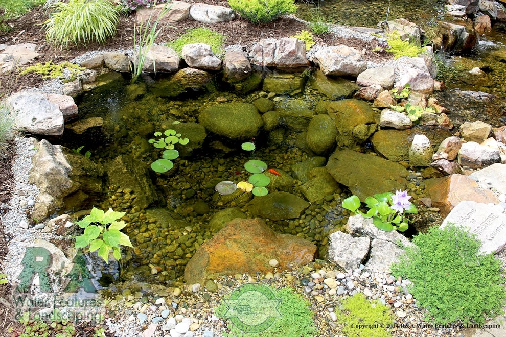 Kalamazoo Water Feature - Backyard Ponds with Bridge by R&A Landscaping - Photo 10