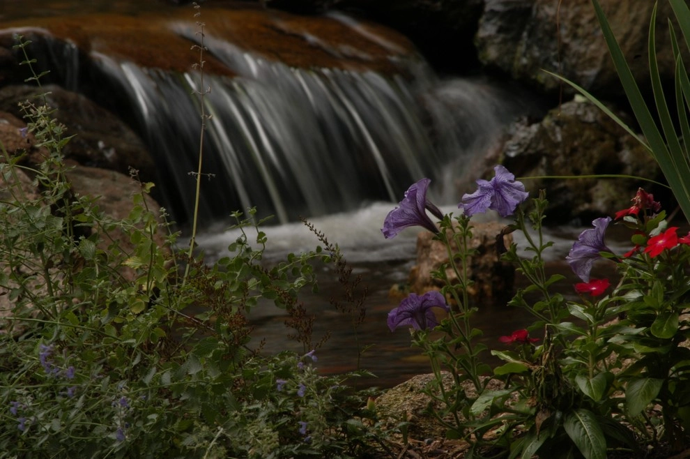 Backyard Ponds & Water Gardens by R&A Landscaping - Photo 49