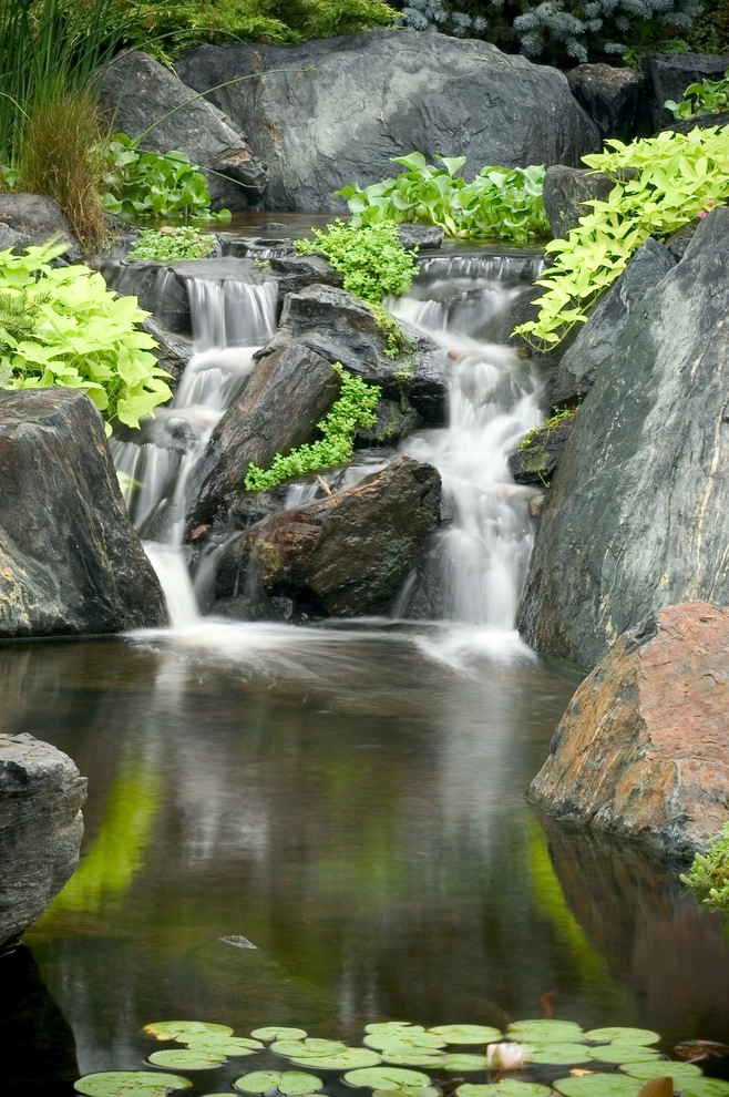 Backyard Ponds & Water Gardens by R&A Landscaping - Photo 46