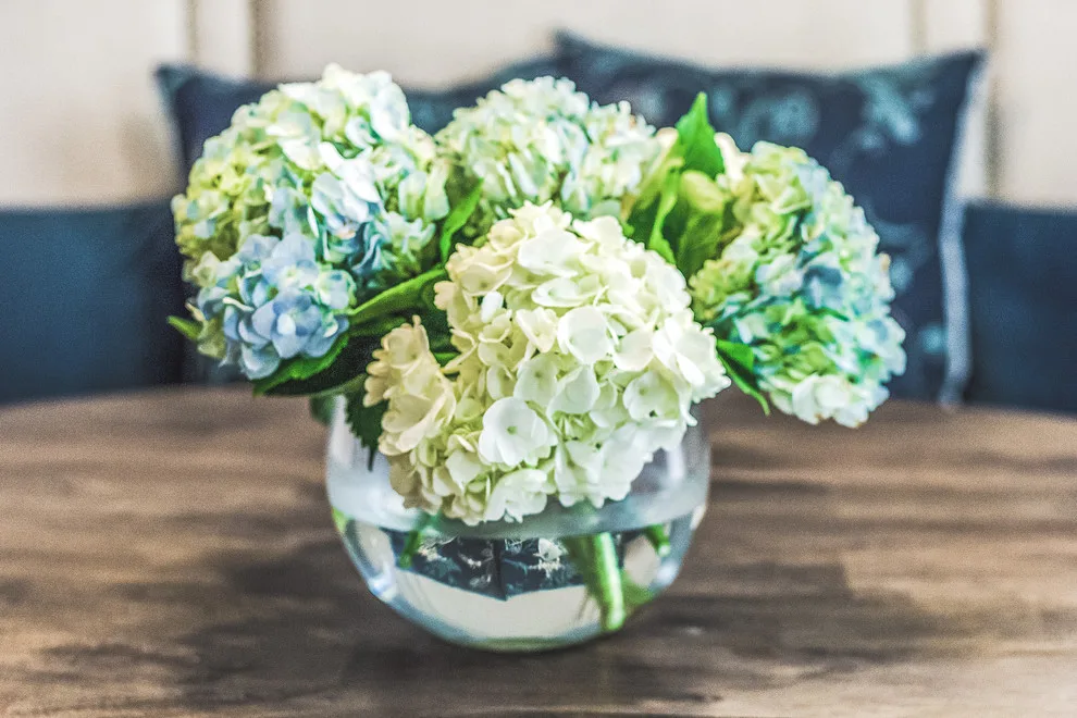Shadow Creek Ranch Initiative by Arianne Bellizaire Interiors - Photo 19
