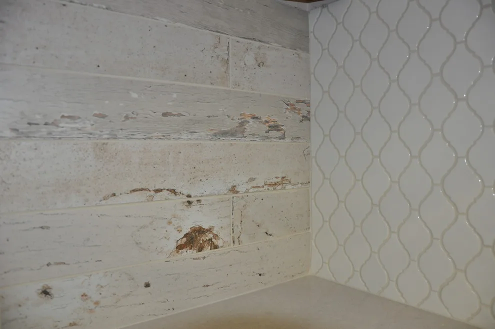 Exhibition Showcase by Premier Paint And Floor Covering - Photo 5
