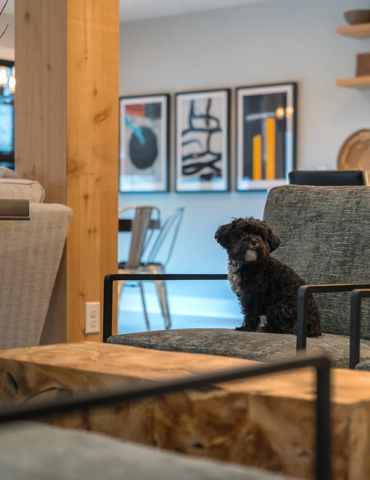 Modern Rustic Madeira by Trace & Scale - Photo 3