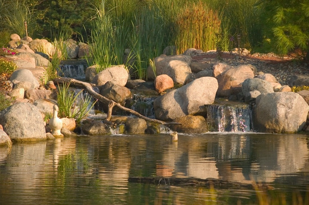 Backyard Ponds & Water Gardens by R&A Landscaping - Photo 26