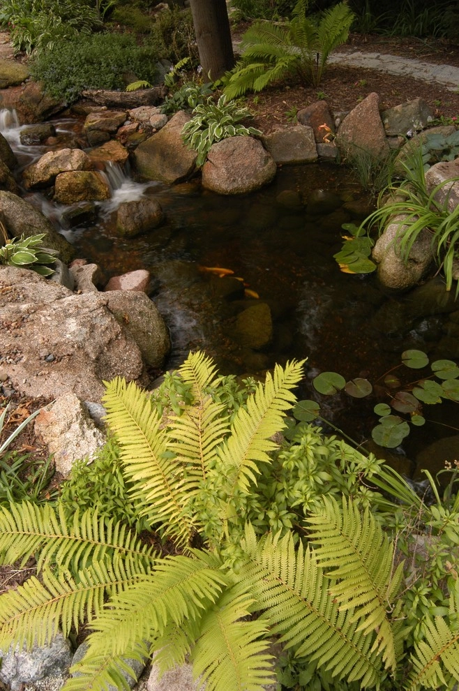 Backyard Ponds & Water Gardens by R&A Landscaping - Photo 15