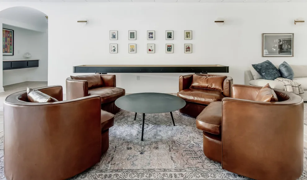 Snyder Street by South Trace Interiors - Photo 4