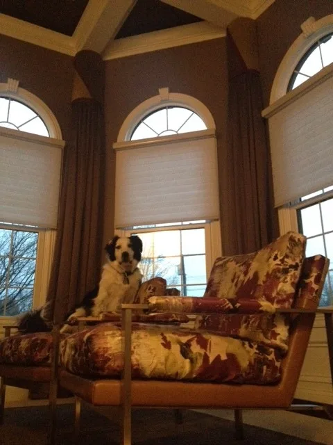 Modern Window Coverings for Office and Bedroom by Heidi Thorn - Photo 3