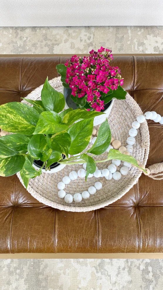 Summer at Spring Lake by Evenflow Interiors - Photo 6