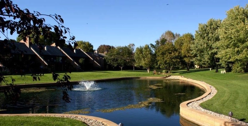 Ray's Lawn & Home Care - Photo 3