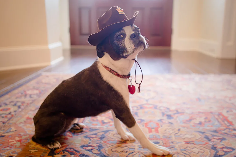 Texas A&M Traditions by The Irish Lady - Photo 15