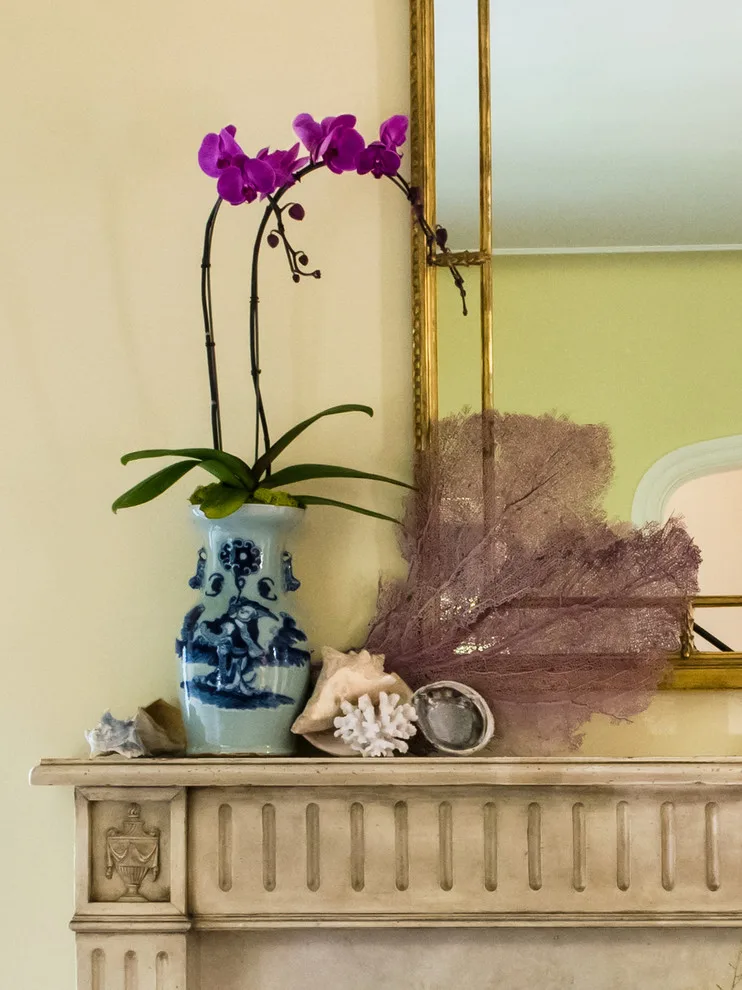 Terrell Hills Timeless Living Space by Audrey Curl Interiors - Photo 4