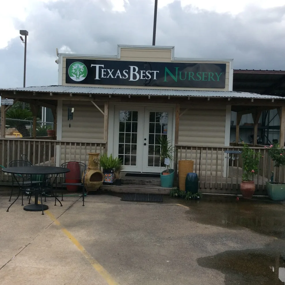 Texas Premier Nursery Makeover by Jane Owen Interior Design - Photo 3