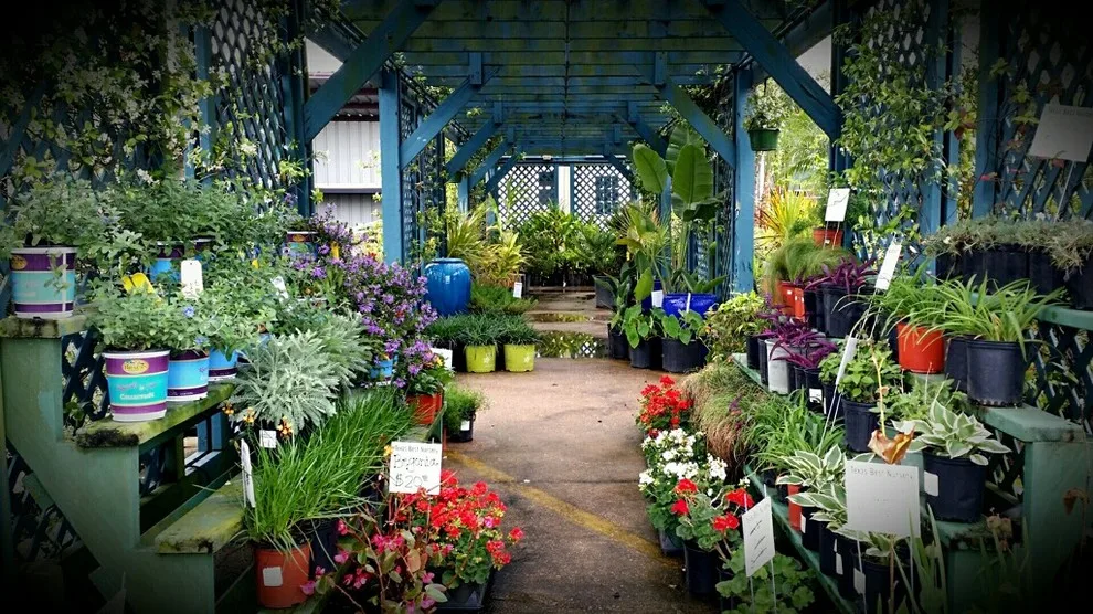 Texas Premier Nursery Makeover by Jane Owen Interior Design - Photo 5