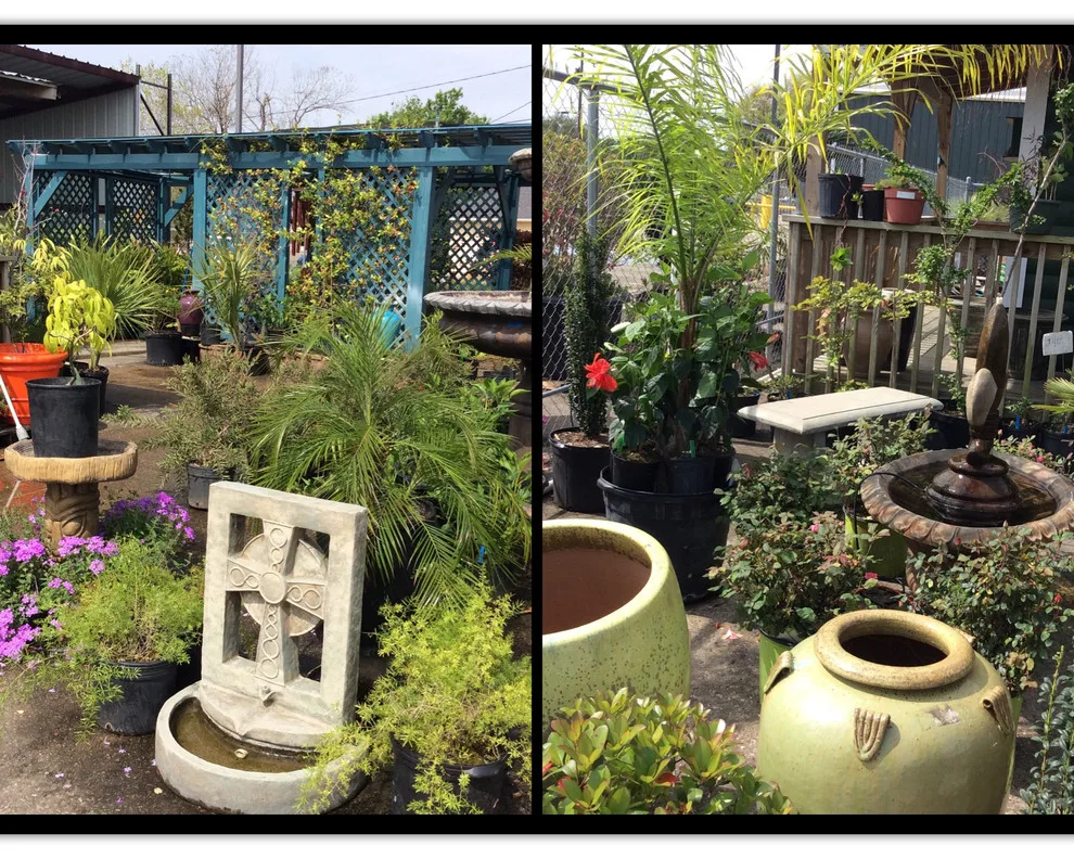 Texas Premier Nursery Makeover by Jane Owen Interior Design - Photo 15
