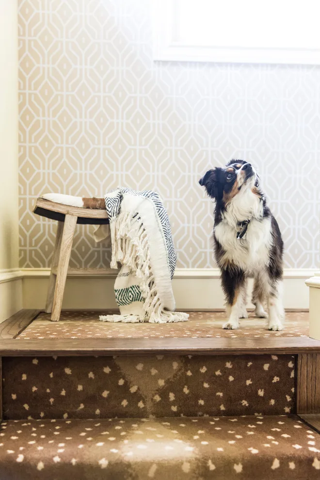 Attention to Detail in Design by Maureen Stevens Design - Photo 25