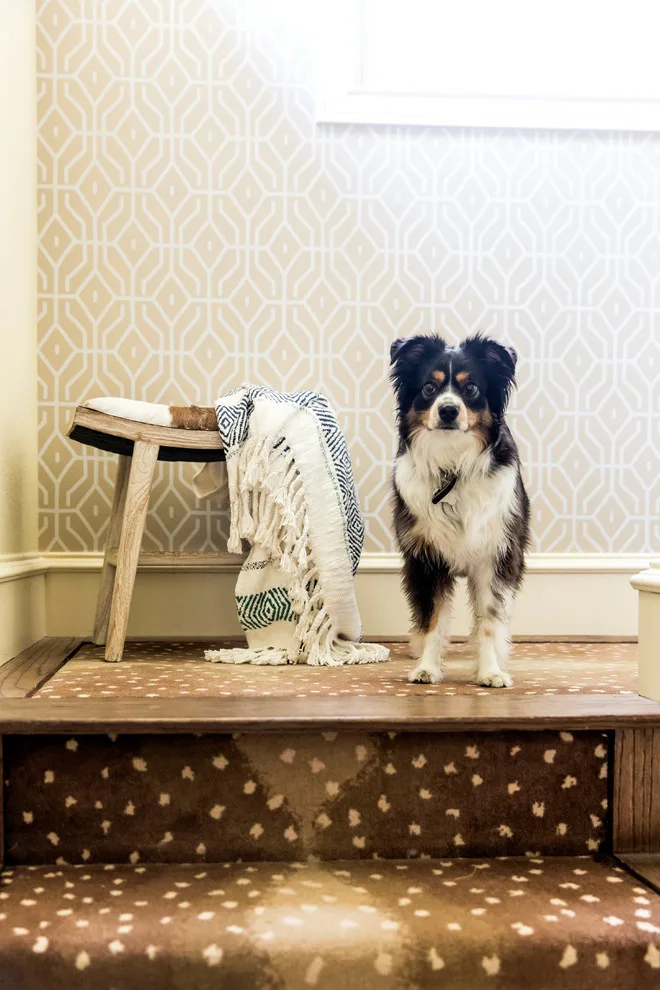 Attention to Detail in Design by Maureen Stevens Design - Photo 10