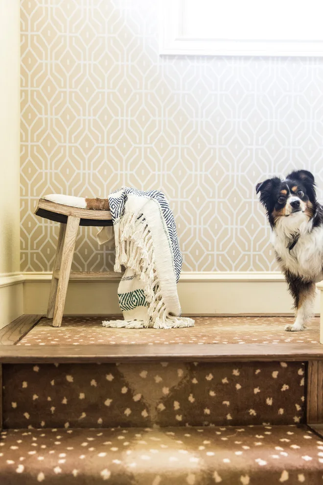 Attention to Detail in Design by Maureen Stevens Design - Photo 12