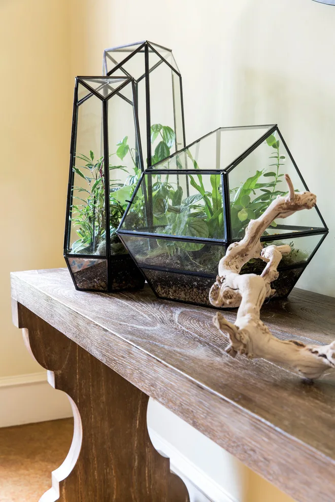 Attention to Detail in Design by Maureen Stevens Design - Photo 17