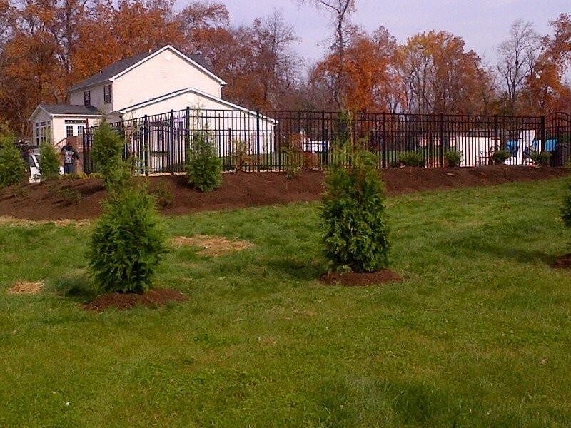 Reese's Landscape Nursery - Photo 13