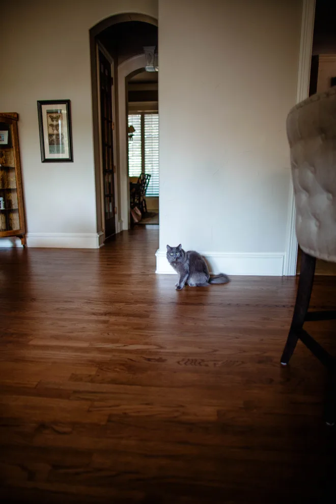 Complete Metamorphosis by Just The Thing Decorating, Staging, And Windows - Photo 29