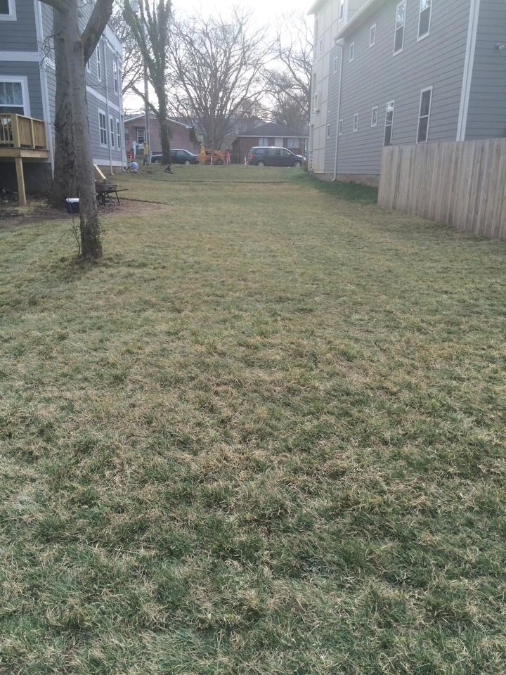Reliable Lawn Care & Landscaping - Photo 8