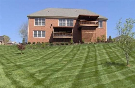 Reliable Lawn Care & Landscaping - Photo 5