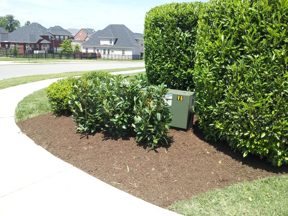 Reliable Lawn Care & Landscaping - Photo 7