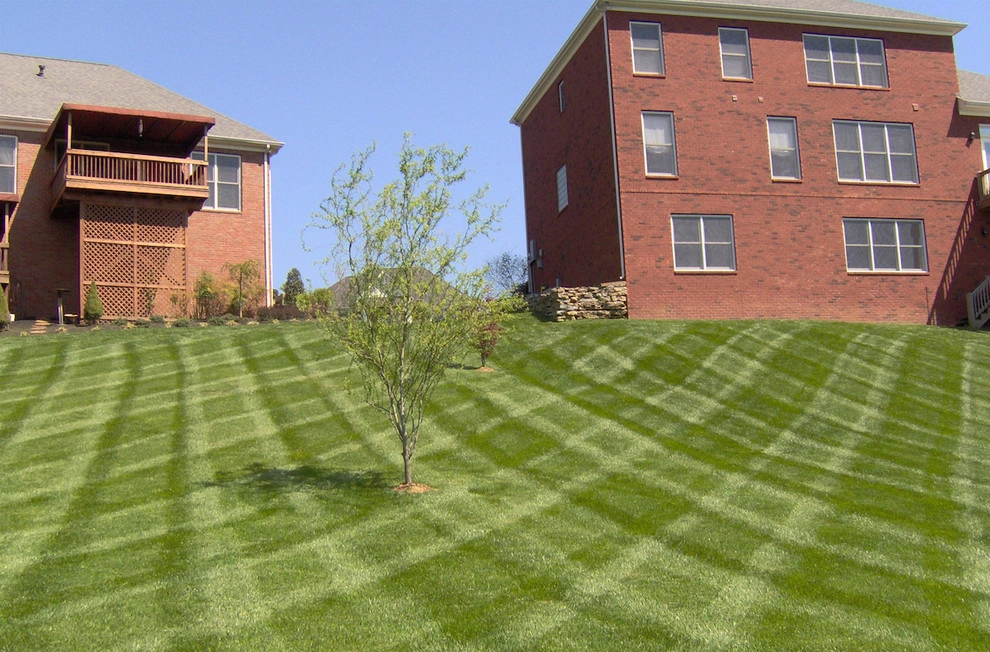 Reliable Lawn Care & Landscaping - Photo 9