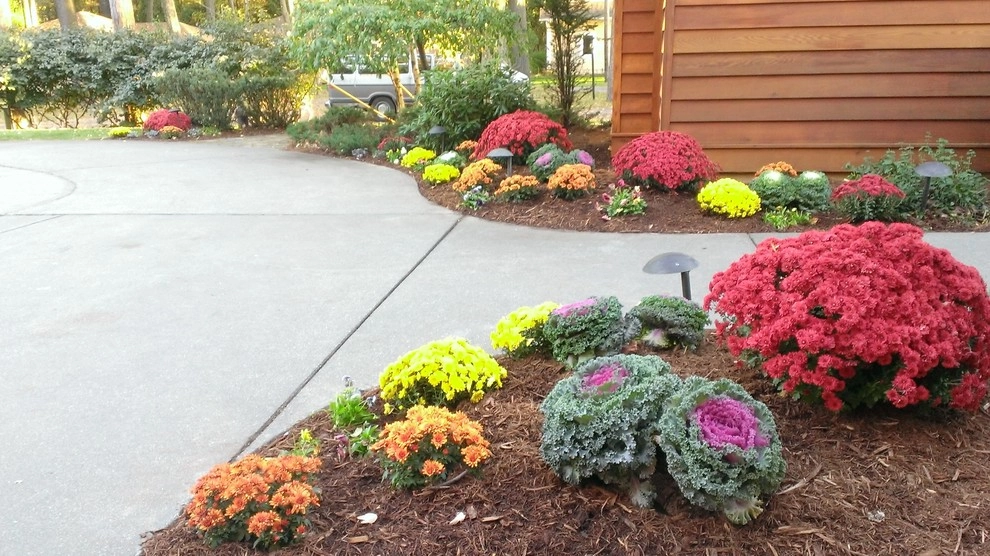 Rent A Gardener LLC - Photo 10