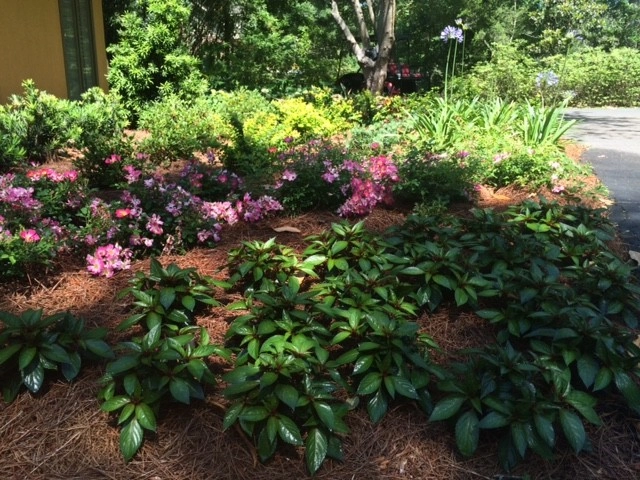 Front Yard Landscape by Resource Landscapes LLC - Photo 4