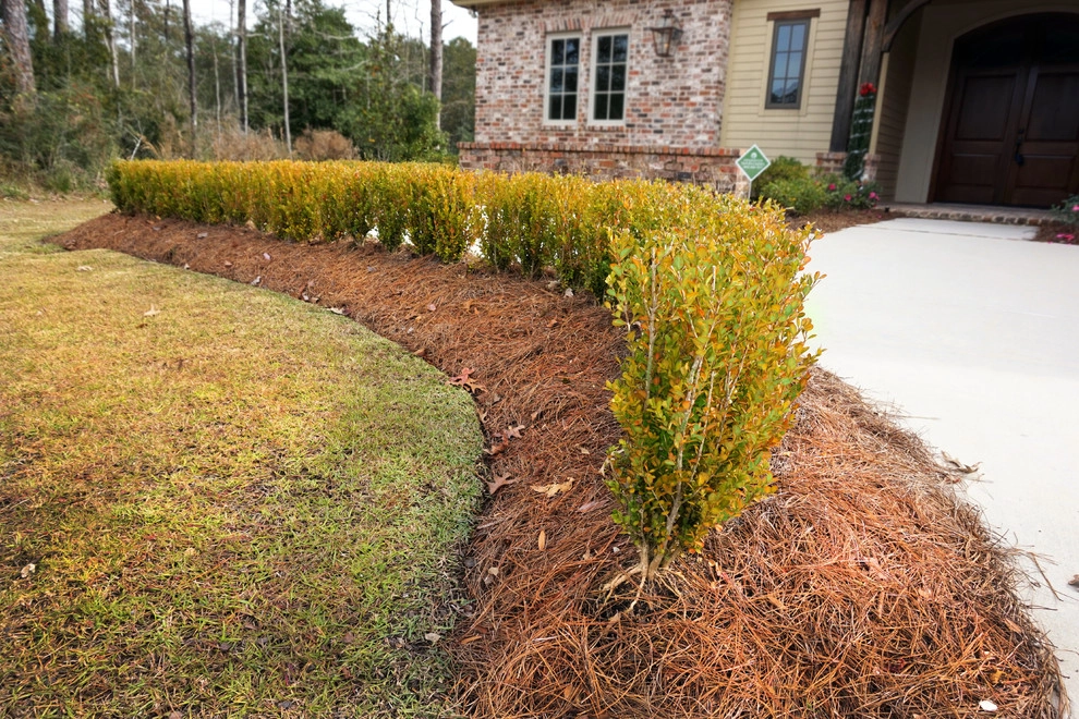 Winter Yard by Resource Landscapes LLC - Photo 11