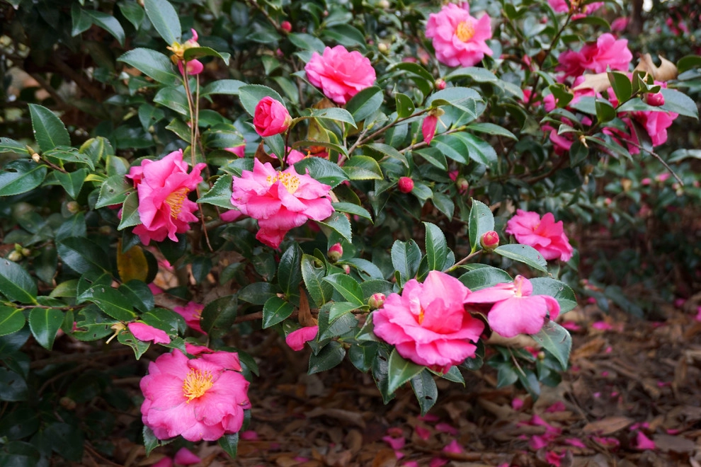 Resource Landscapes LLC - Photo 7