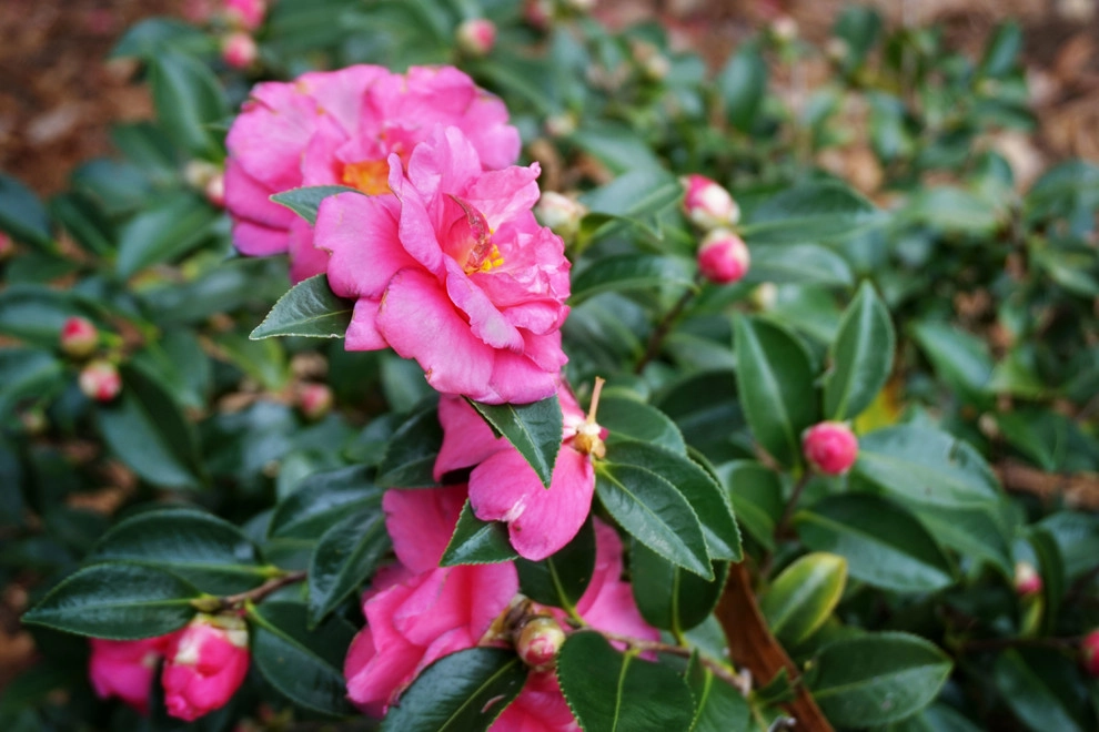 Resource Landscapes LLC - Photo 14
