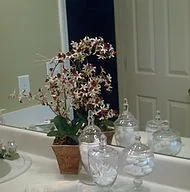 Metamorphoses by Eve's Interior Decorating - Photo 11