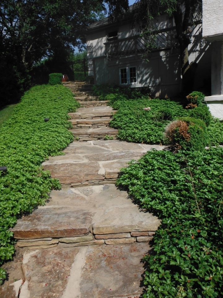 Reynolds Brothers Landscaping - Photo 7