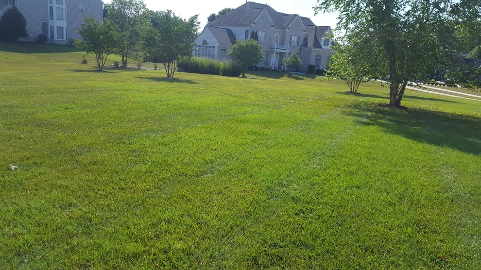 House Lawn Care by RH Hilarios Landscaping LLC - Photo 4