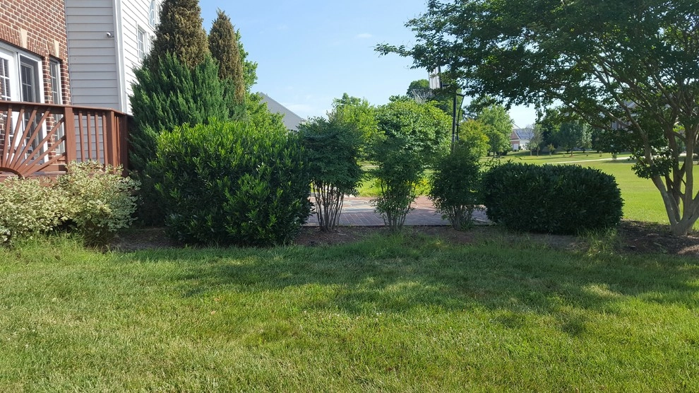 House Lawn Care by RH Hilarios Landscaping LLC - Photo 10