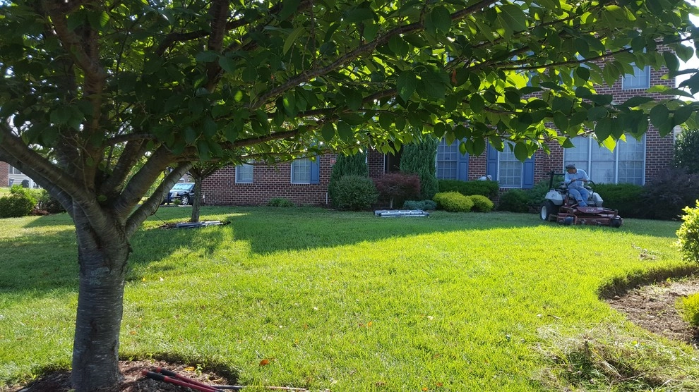 House Lawn Care by RH Hilarios Landscaping LLC - Photo 6
