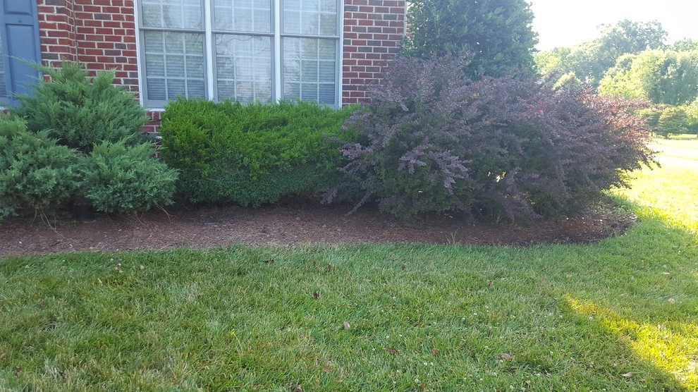 House Lawn Care by RH Hilarios Landscaping LLC - Photo 11