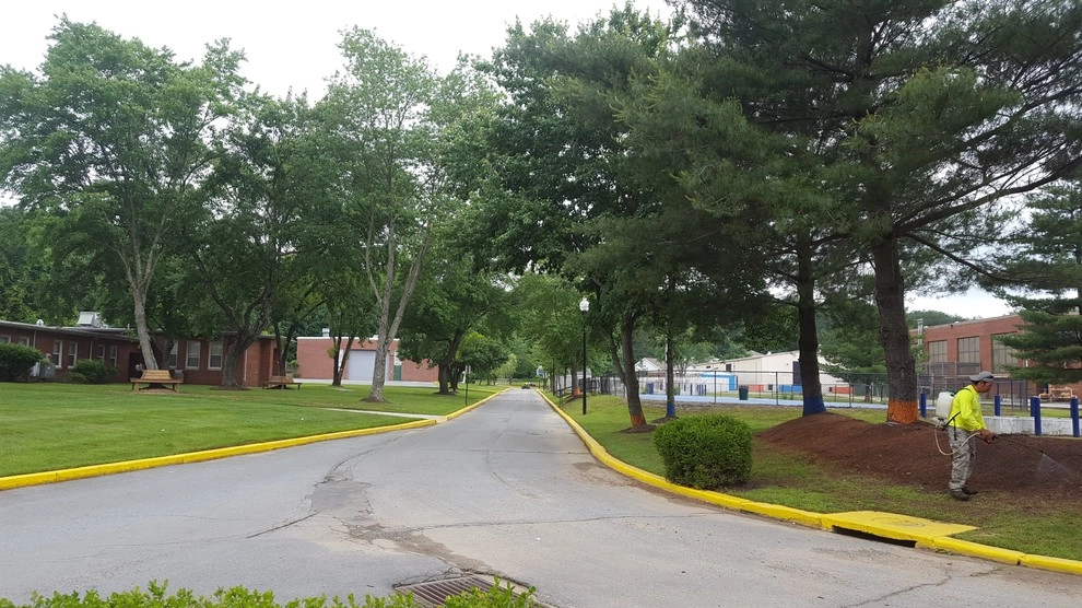 School Lawncare by RH Hilarios Landscaping LLC - Photo 4