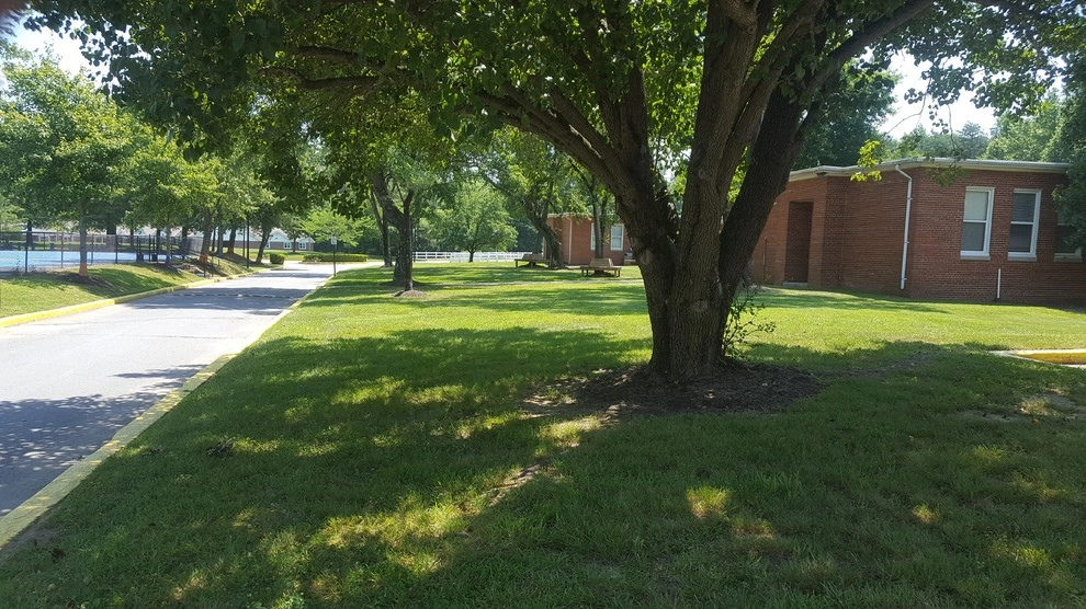 School Lawncare by RH Hilarios Landscaping LLC - Photo 8