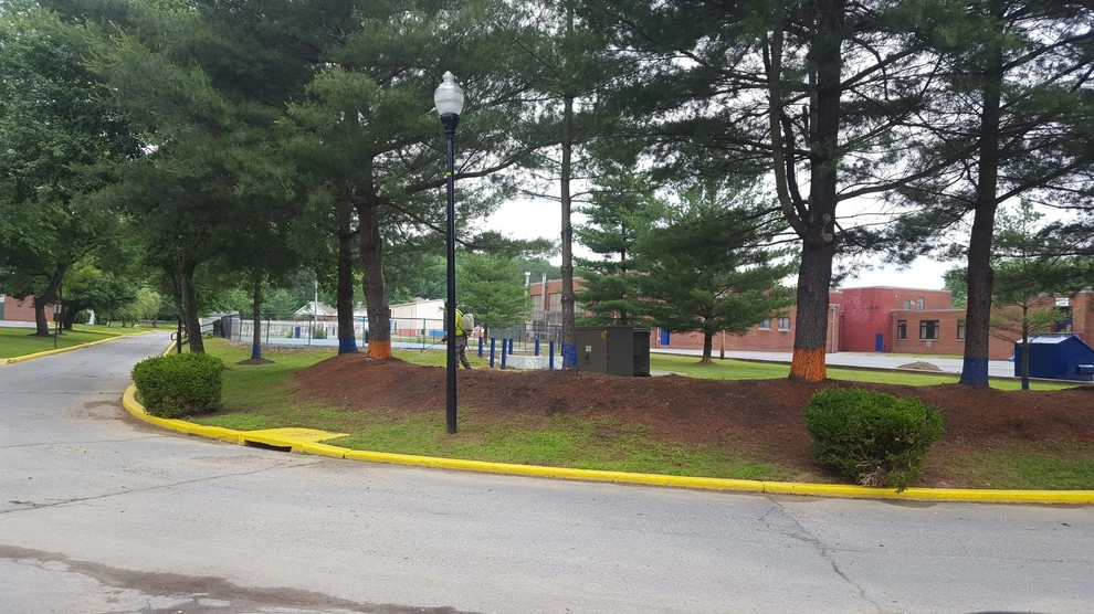 School Lawncare by RH Hilarios Landscaping LLC - Photo 3